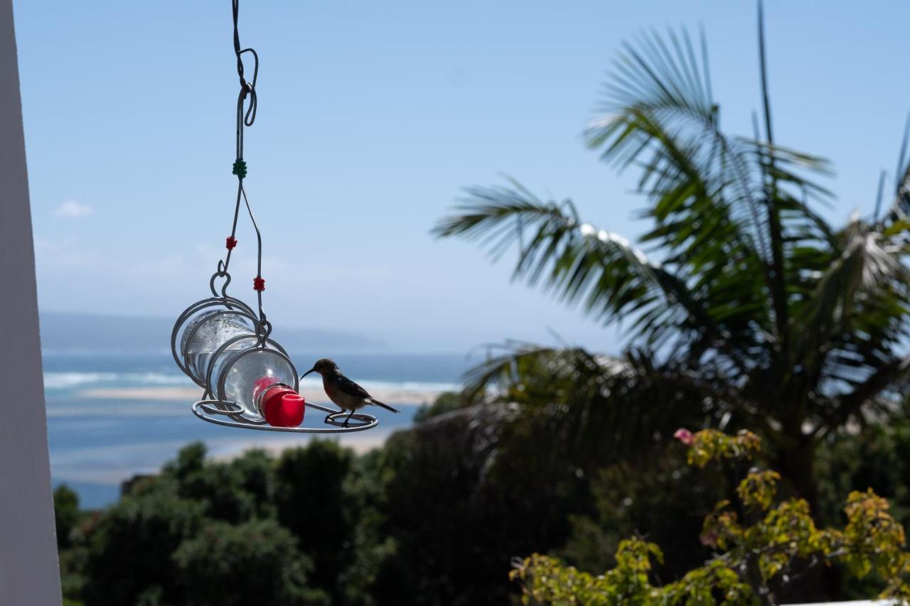 Room With A View Plettenberg Bay Bagian luar foto